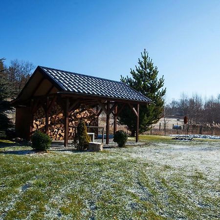 Apartamenty Kalinowa Z Widokiem Na Gory Єленя-Ґура Екстер'єр фото